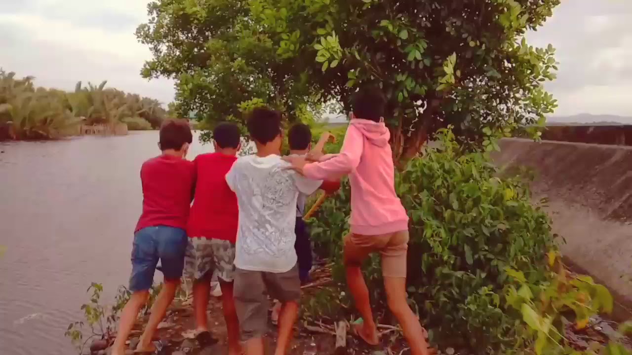 MAGALLANES TA VINES (Lion King)