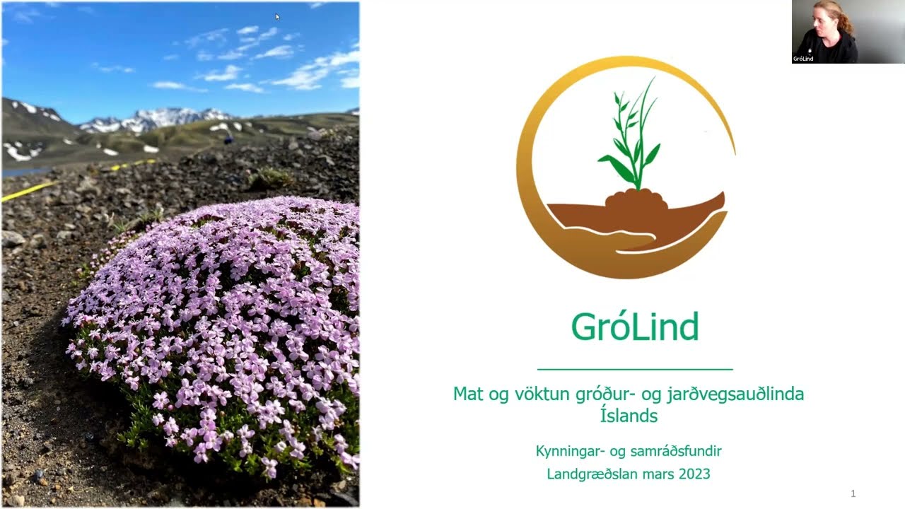 GróLind Maí 2023