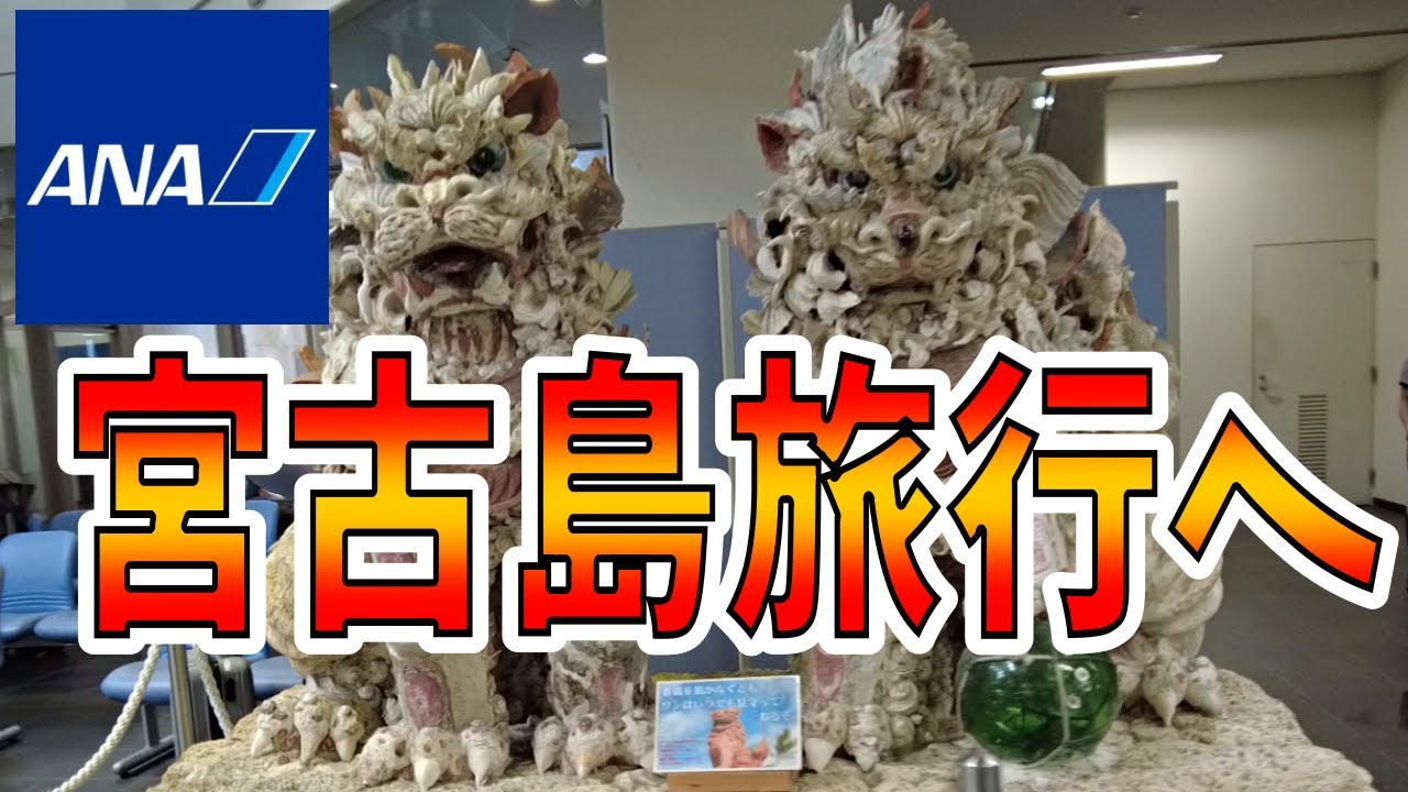 【ANA】宮古島旅行へ！快晴の羽田空港を飛び出し直行便で南の島へ！
