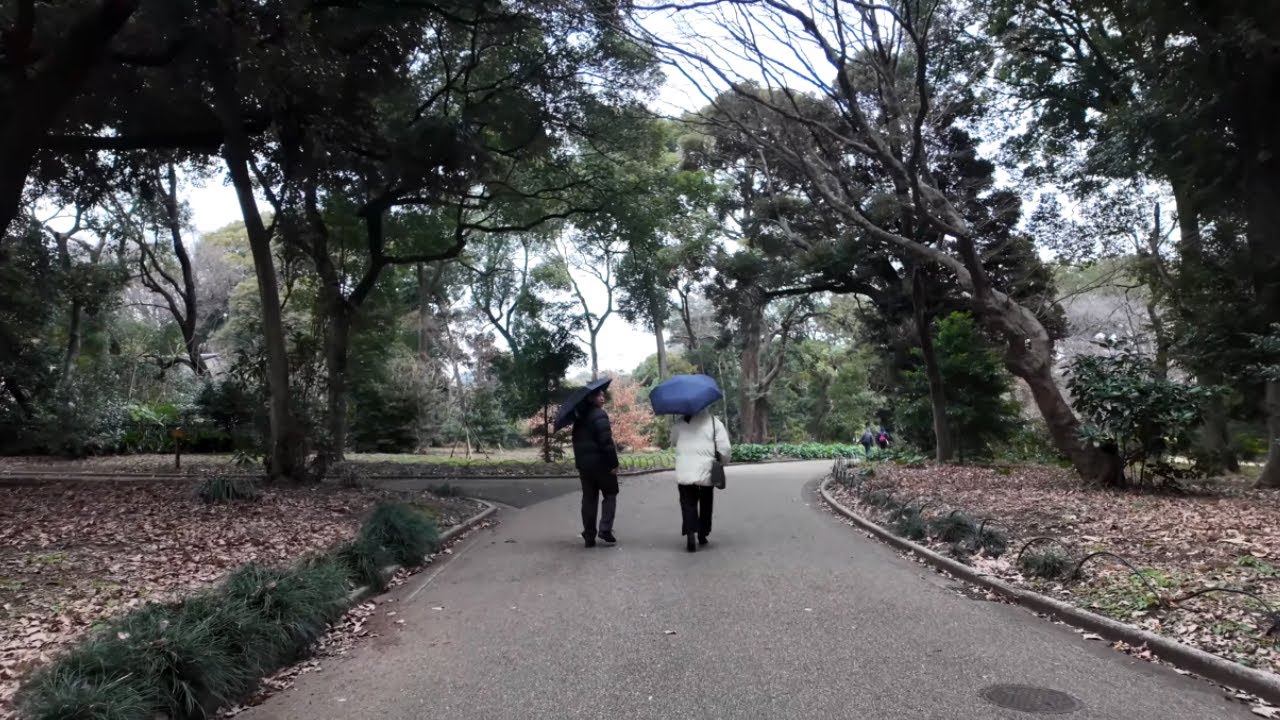 Shinjuku Gyoen Garden Walking Tour 🌸 | Tokyo Japan