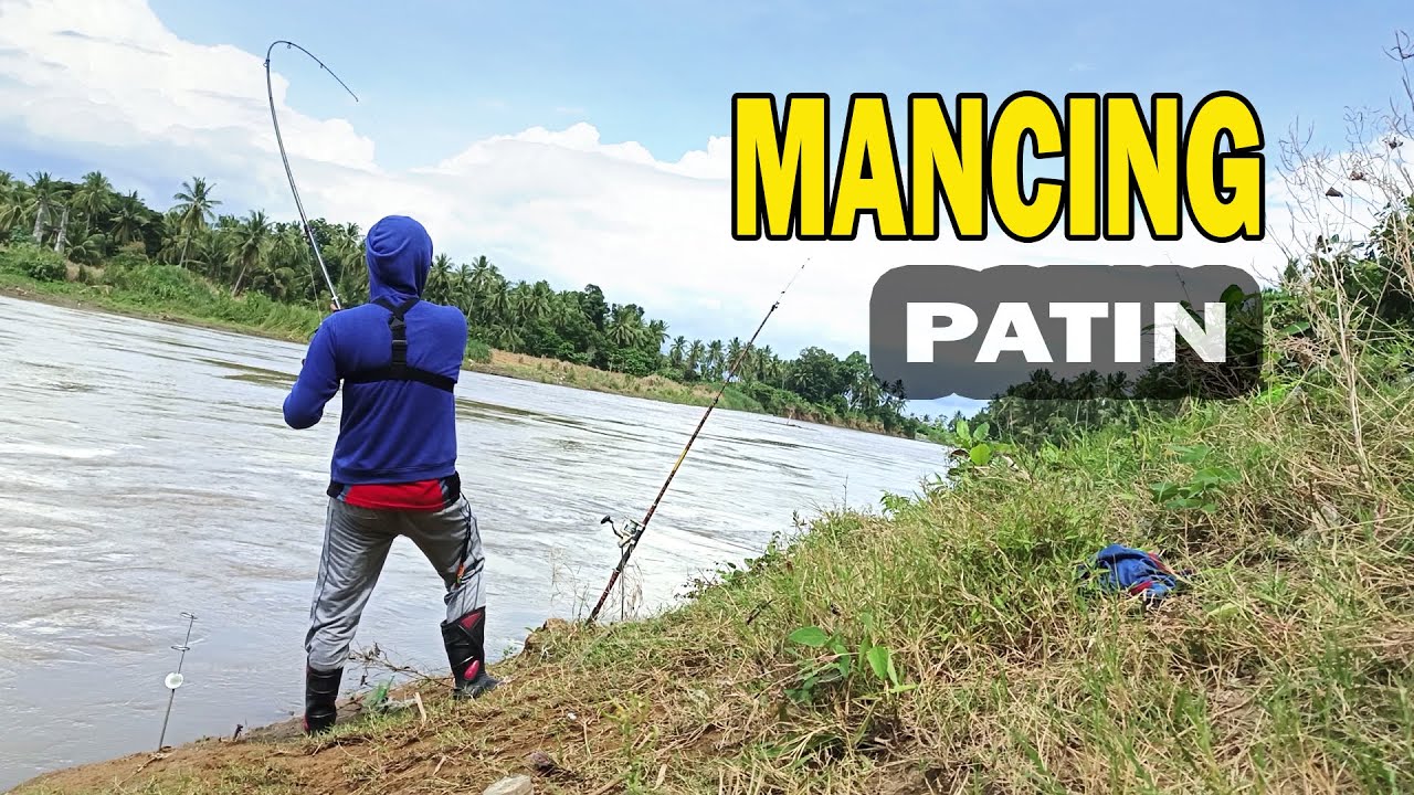 Sensasi Mancing patin Di sungai berarus deras