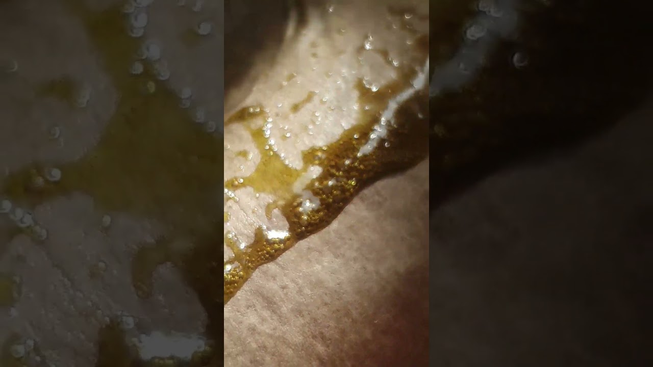 Cannabis Flos All Nations GM 104 Mac Doughnut rosin first press #Cantourage