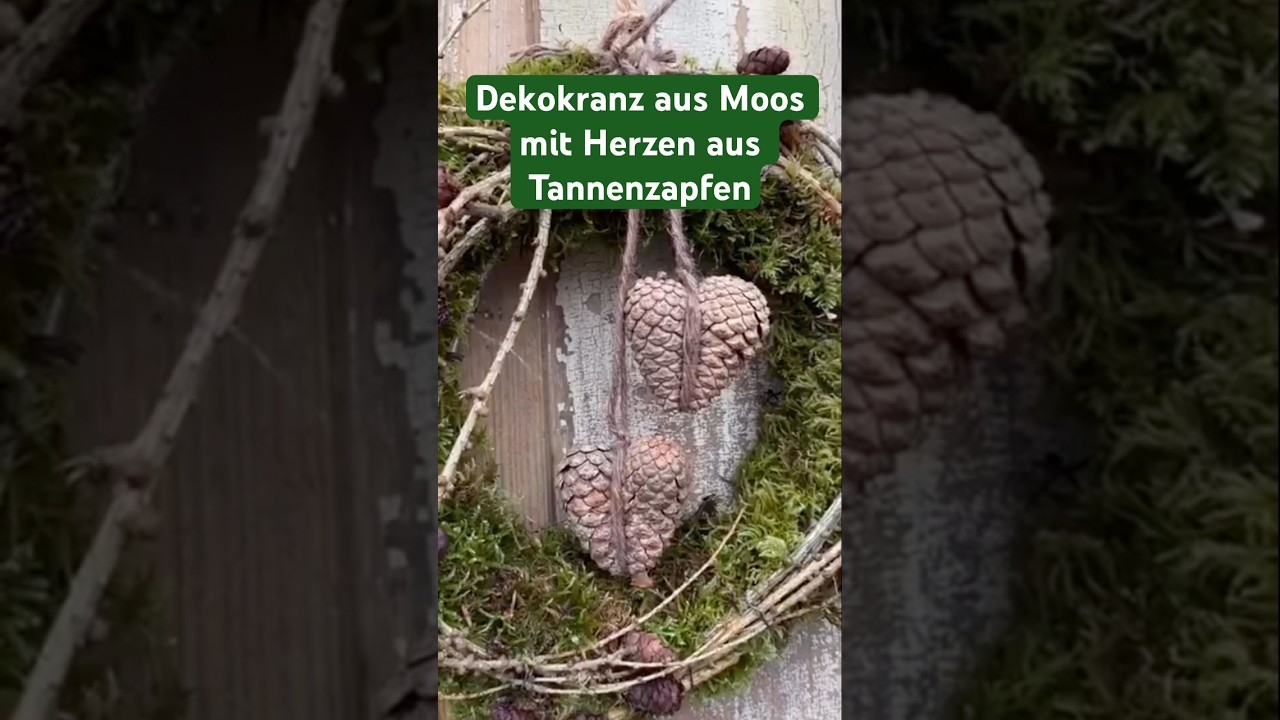 Nat&uuml;rlicher Dekokranz aus Moos mit Herzen aus Tannenzapfen. Einfache Herbstdeko aus Naturmaterialien