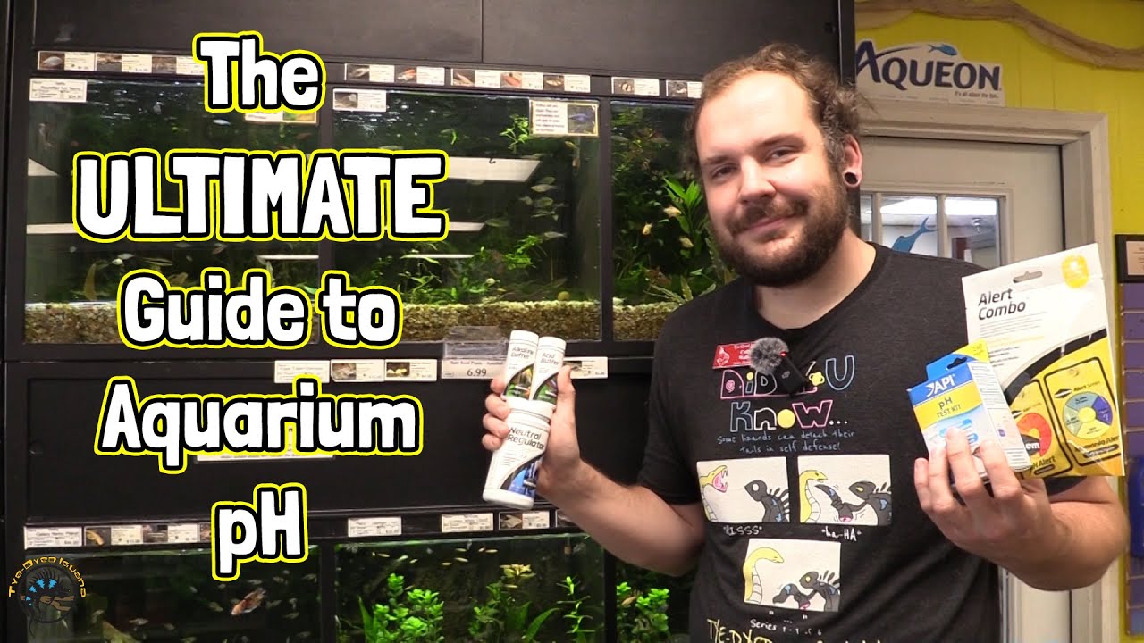 How To Control the pH of the Water in Your Aquarium - TDI's Ultimate Guide to pH!