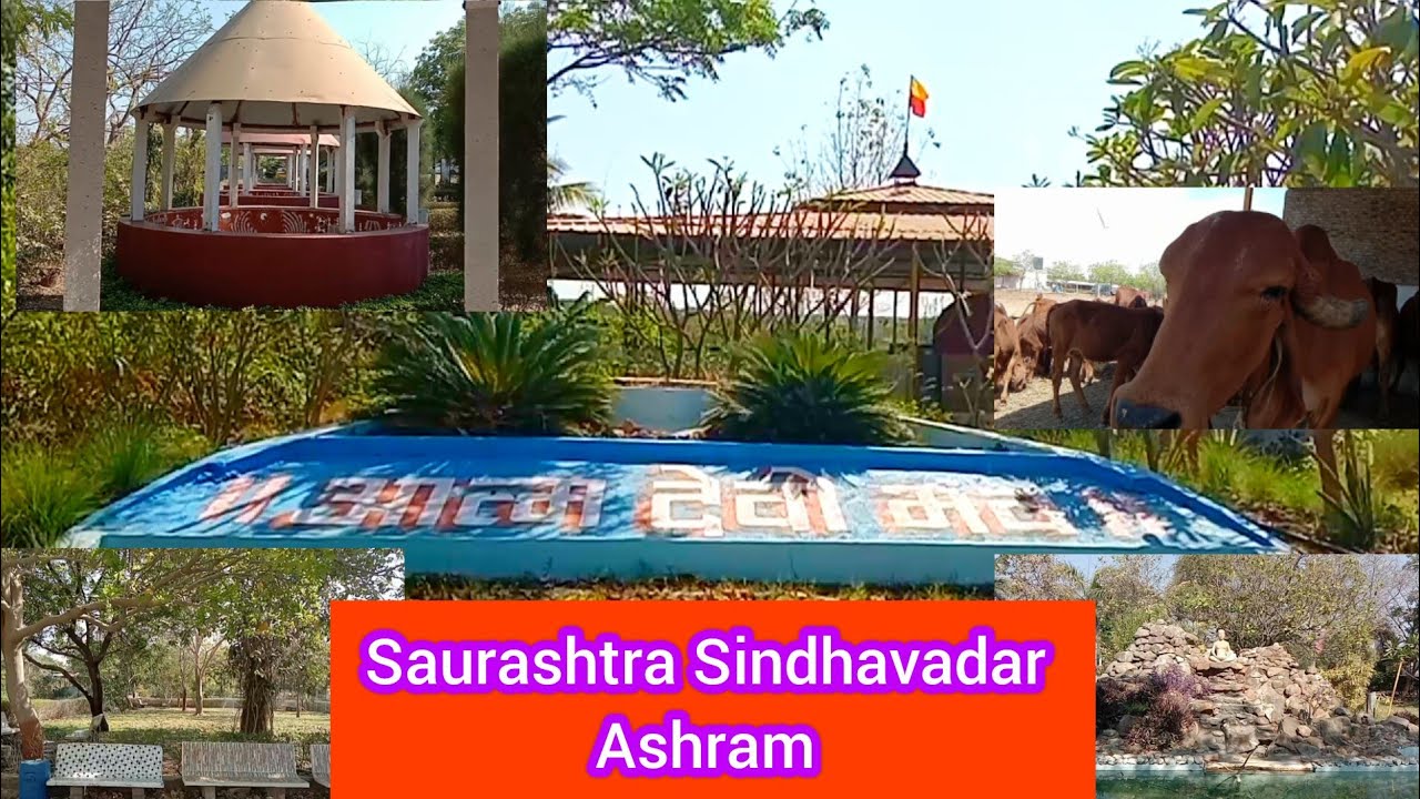 Saurashtra Samarpan Ashram Sindhavadar | @NewWay7373