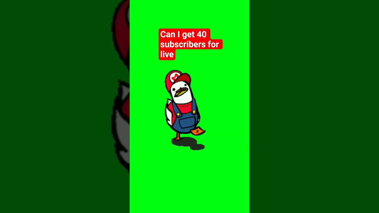 can U get 40 subscribers for live plz guys 