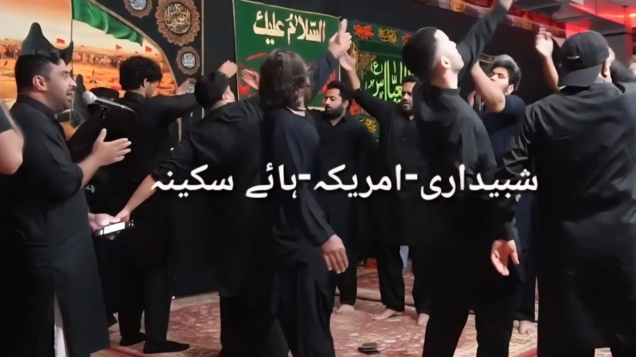 Shabedari America-Bibi Sakina-Moiz Raza #yaali #matamdari #india #pakistan #usa #arbaeen #hussain 