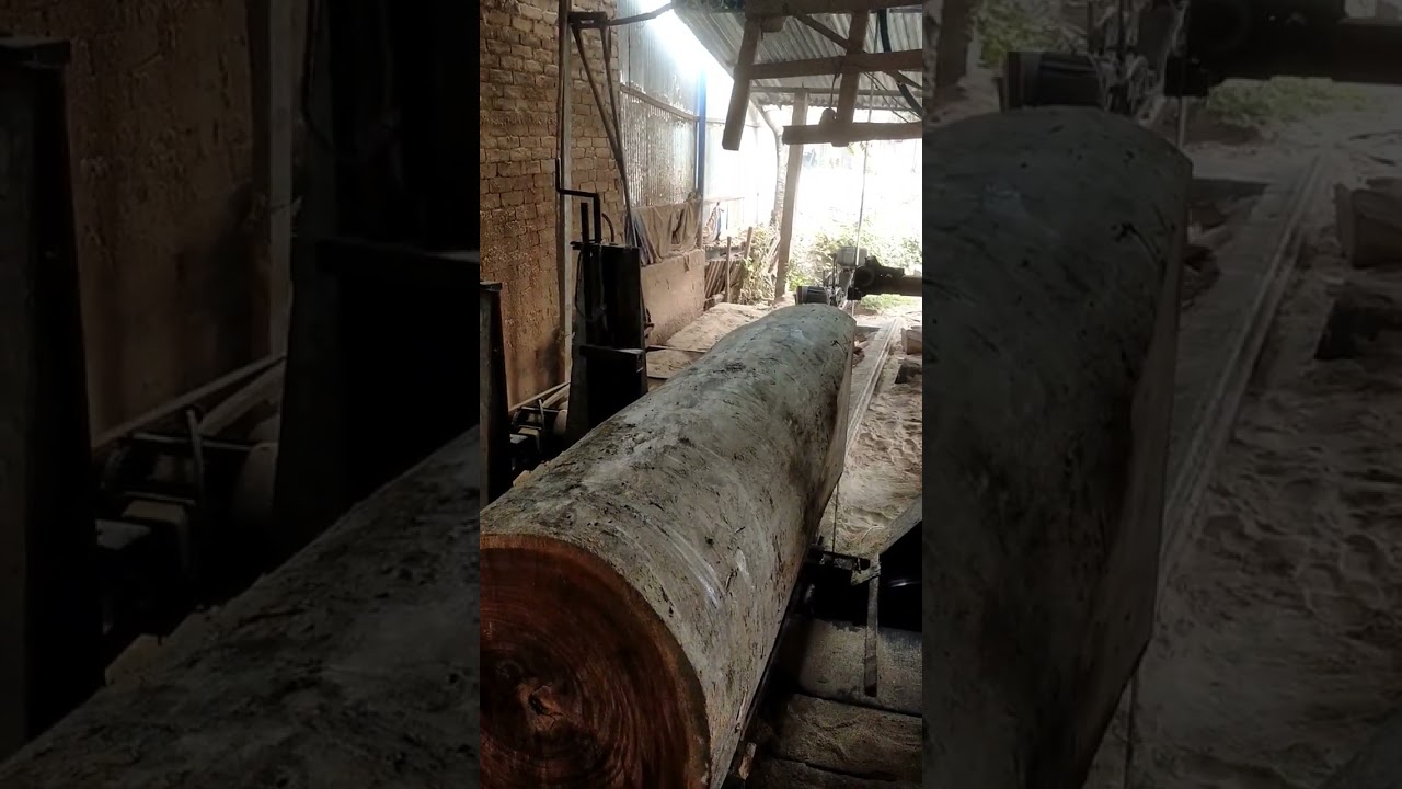 #bdsawmillssawmills#bdsawmill#sawmill#sawmillsbd