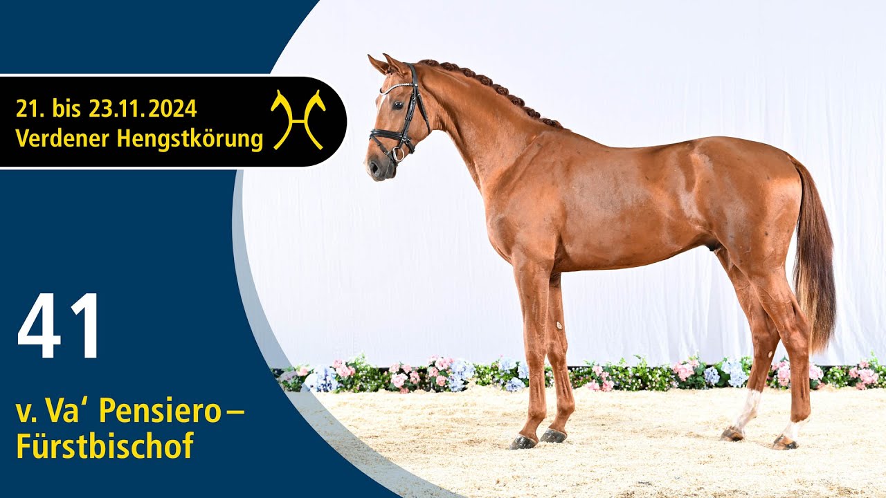 No. 41 Stallion by Va' Pensiero - Fürstbischof | Verden Stallion Licensing 2024 - Nov. 22/23