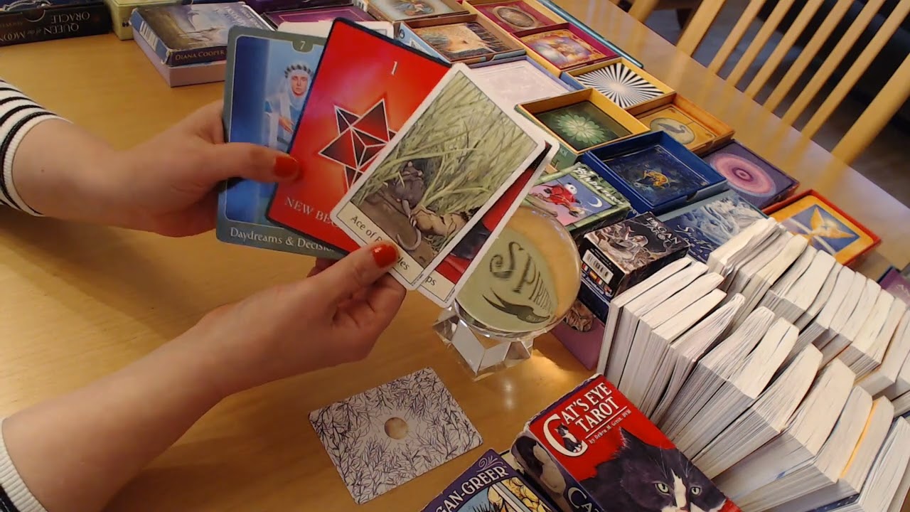 Viesti jollekin: &Auml;l&auml; laita p&auml;&auml;t&auml; pensaaseen 🫥+Viikolle korttinosto🥰