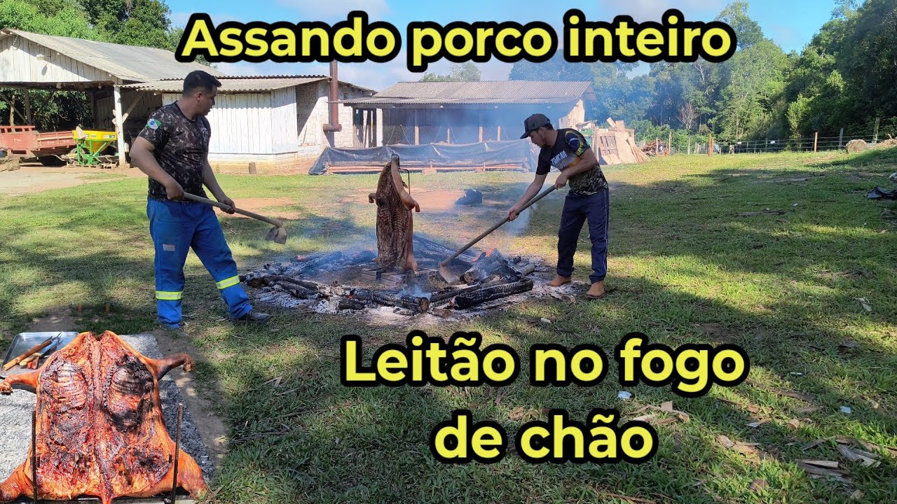 Leitão no fogo de chão. Assando porco inteiro 