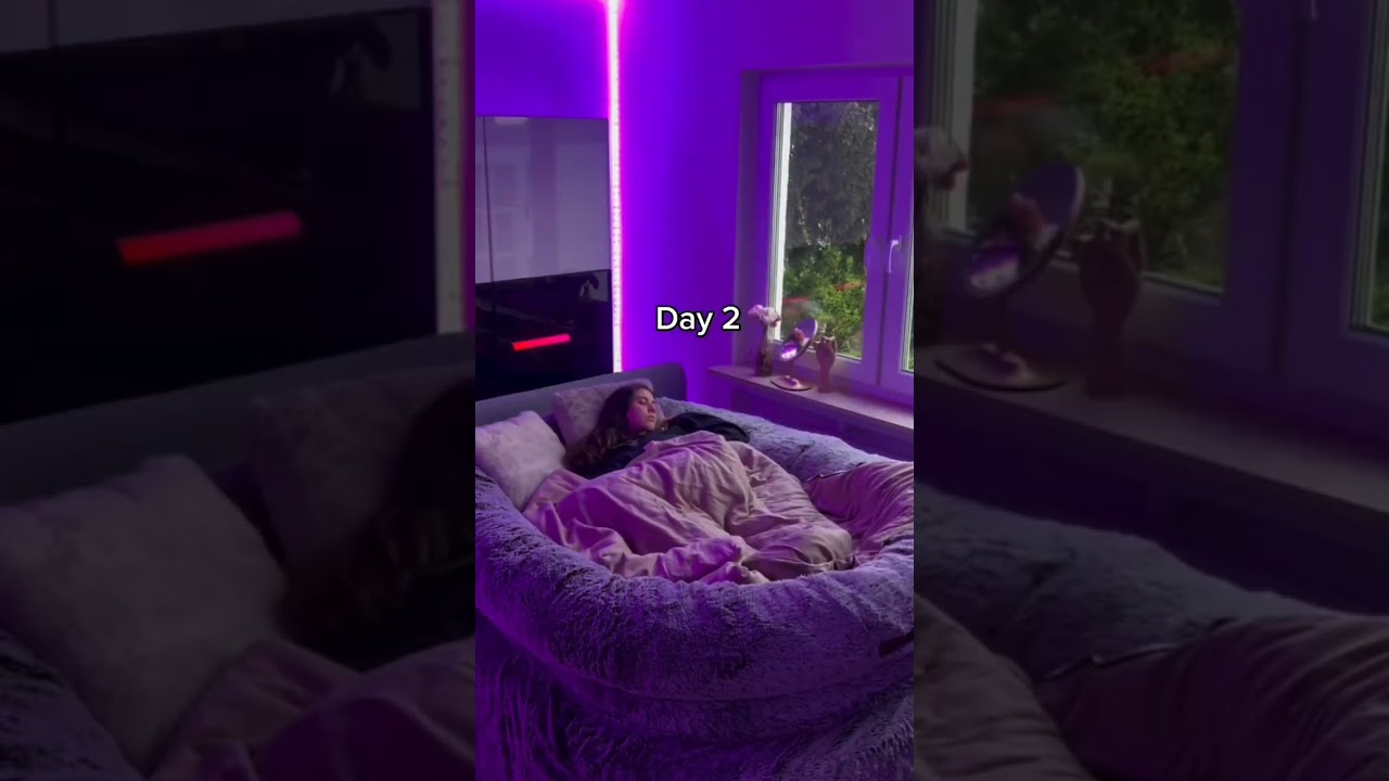 "I Tried a Human-Sized Dog Bed… and It Changed My Life 🐶🛏️ 