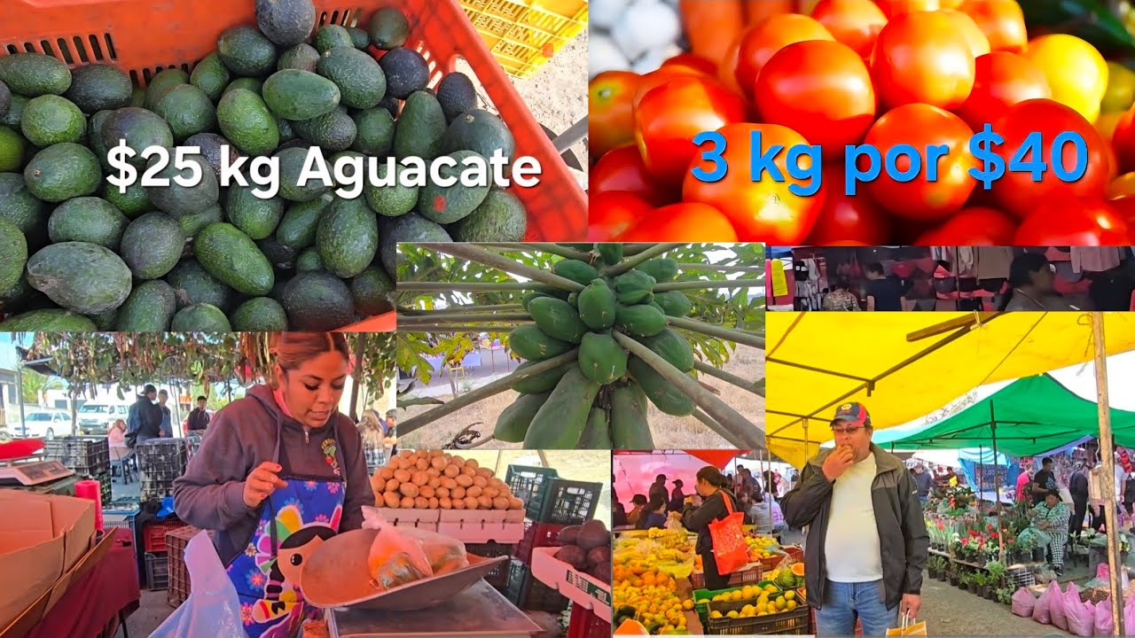 🛍¡SÚPER Ahorro!🍇 Comprando🤩Tianguis🇲🇽México 🥑🍒🍏Frutas y Verduras. 
