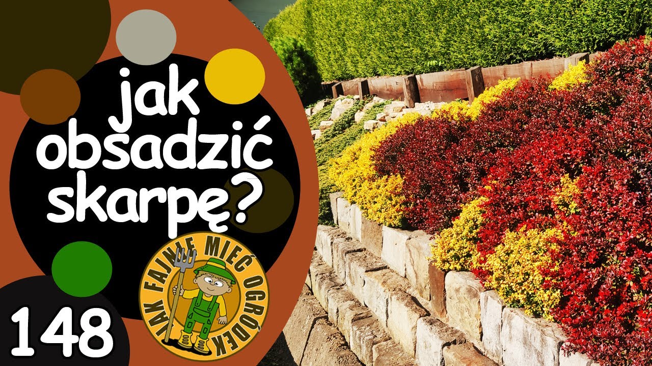 #148 Jak zagospodarować skarpę?