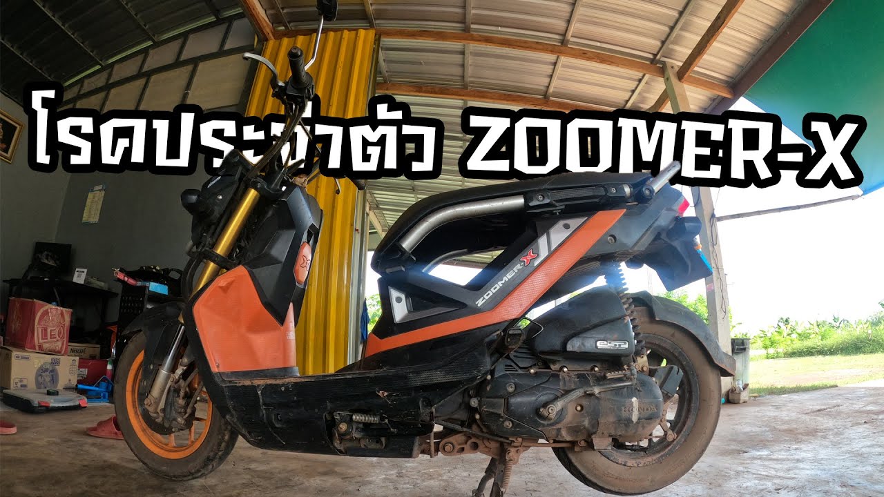 โรคประจำตัวฮอนด้าซูมเมอร์เอ็กส์ Zoomer-X [บ๊อบบี้โมดิฟาย]