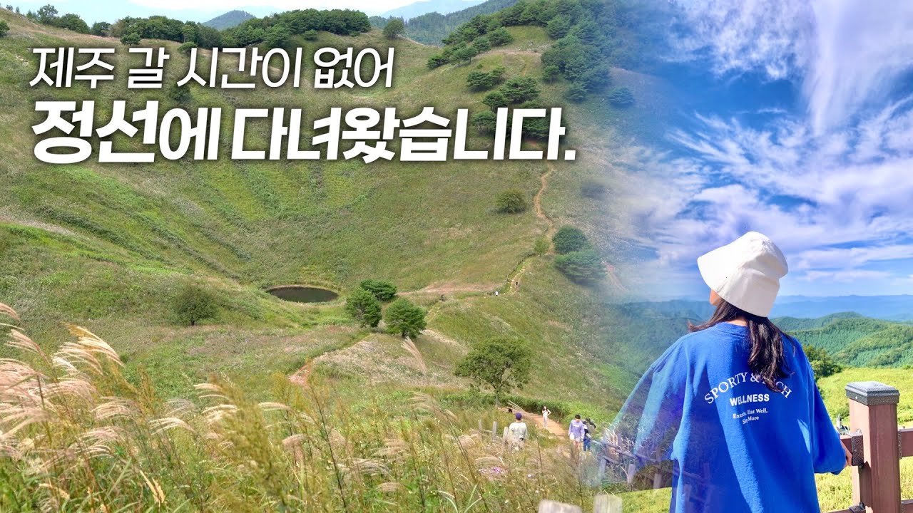 정선 여행 필수코스 11곳 | 제주 느낌 물씬나는 정선 가볼만한 곳, 맛집, 액티비티 등 총정리