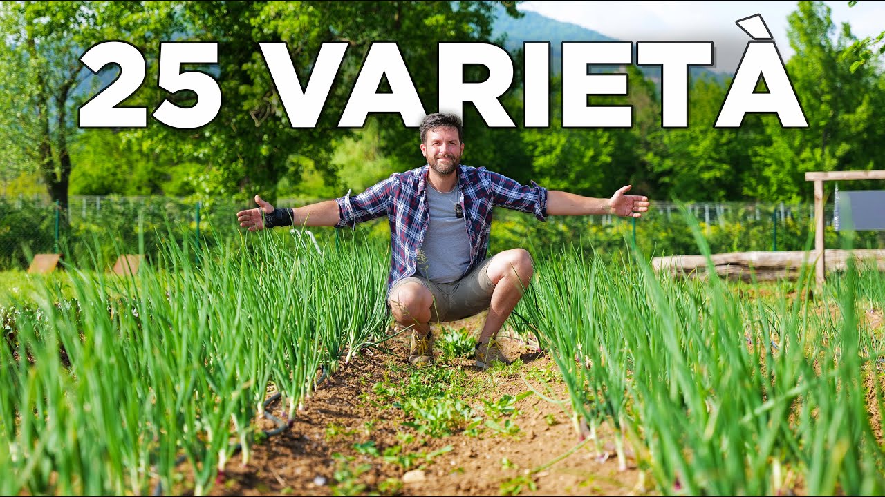 ORTO di MAGGIO: TUTTI gli ORTAGGI che puoi coltivare