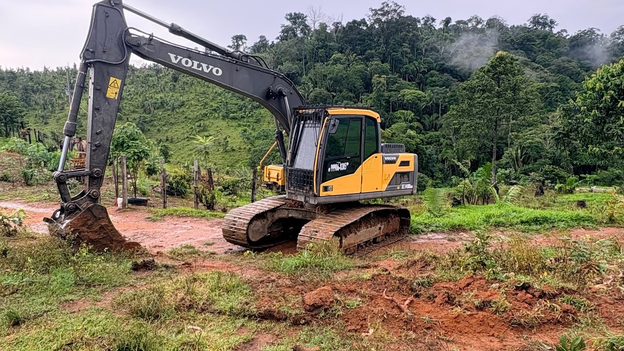 Escavadeira fazendo limpeza para plantio 