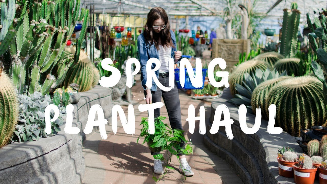 Plant Shopping & Spring Plant Haul 🌵✨