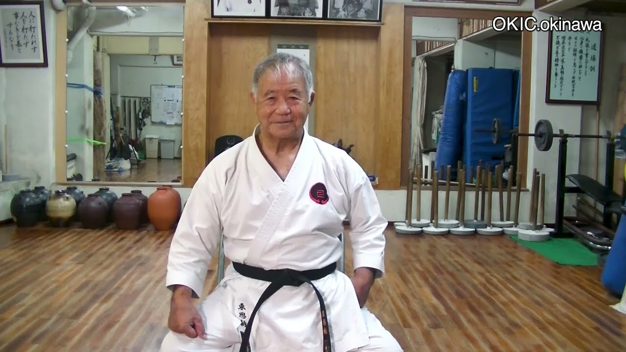 SIGUE ENTRENANDO HIGAONNA SENSEI sub español