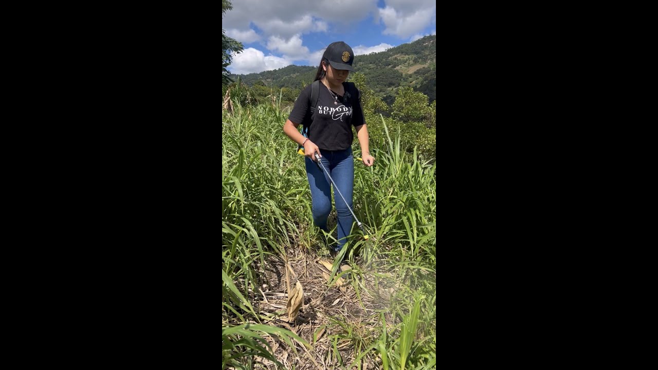 Elizabeth Ciprian trabajando en el campo💪🏻😁🍃