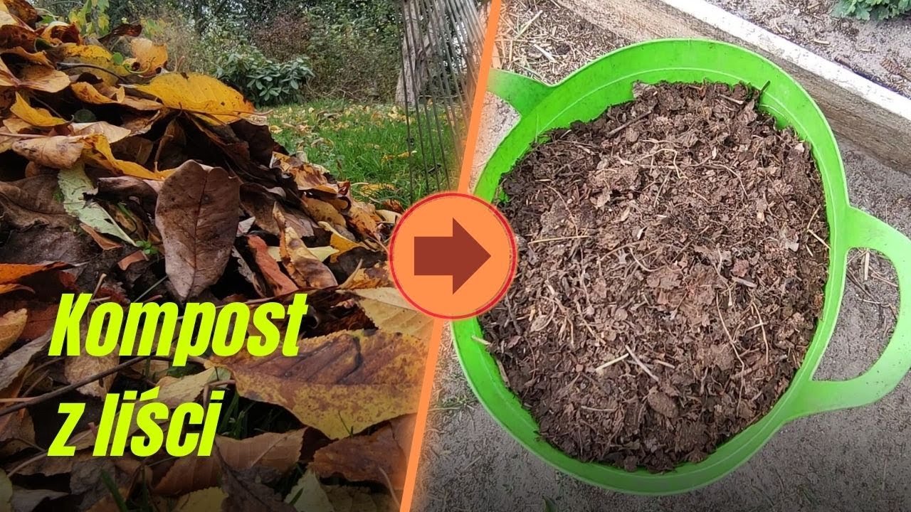 Jak zrobić kompost z liści