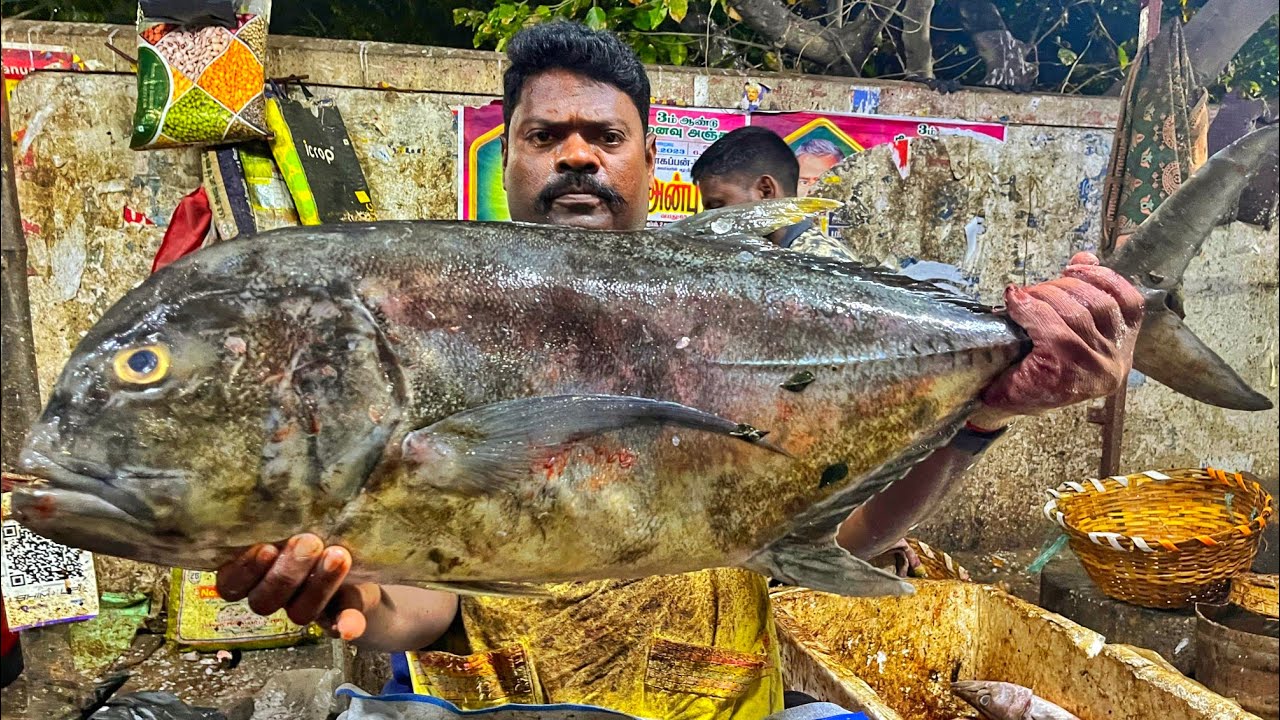 KASIMEDU 🔥 SPEED SELVAM | BIG TRAVELLY FISH CUTTING VIDEO | 4K VIDEO | CS FISH CUTTING