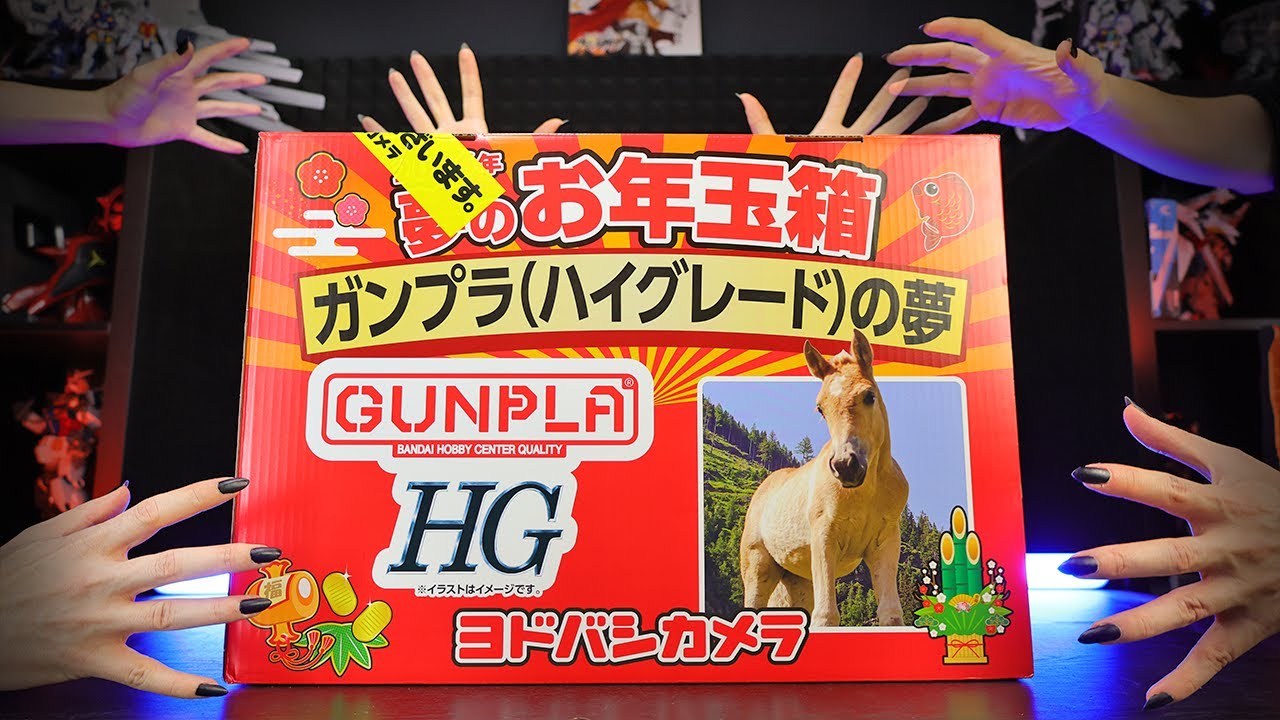 I Bought A GIANT High Grade Gundam Mystery Box From Japan!