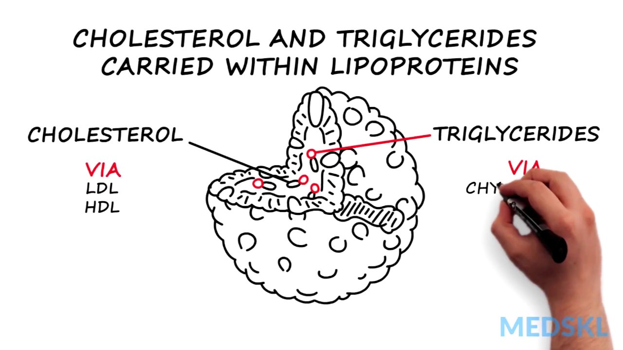 Dyslipidemia: What to know about Cholesterol and Triglycerides levels