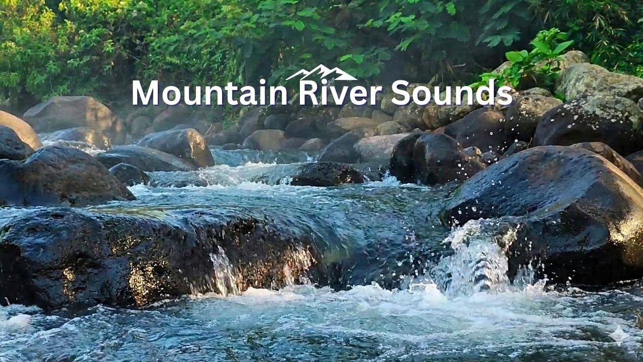 8 Hours Calming River Sounds for Deep Sleep All Night | Steady Natural Forest Water Flow