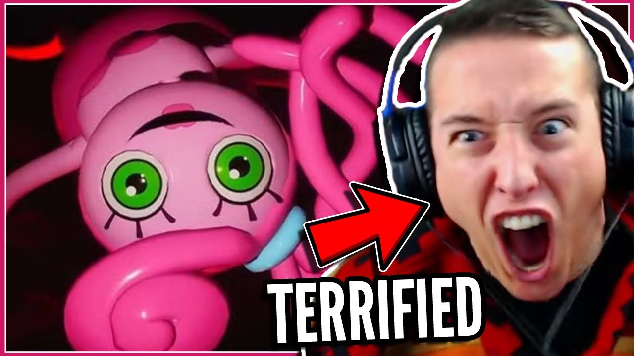 This Can't Be Scarier Than Chapter 1...RIGHT? | DGR Plays Poppy Playtime (Chapter 2)