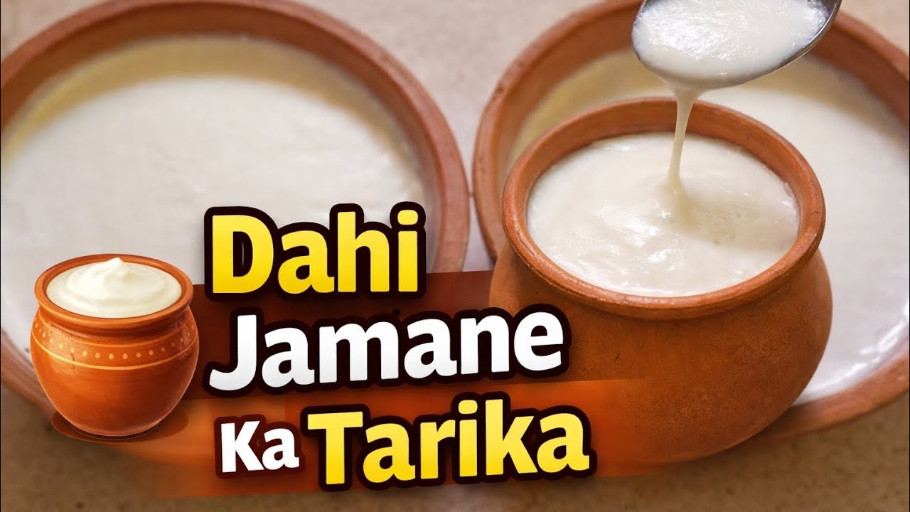 Ghar Par Perfect Dahi Jamane Ka Tarika | Thick & Creamy Homemade Dahi Recipe | Easy Yogurt Method