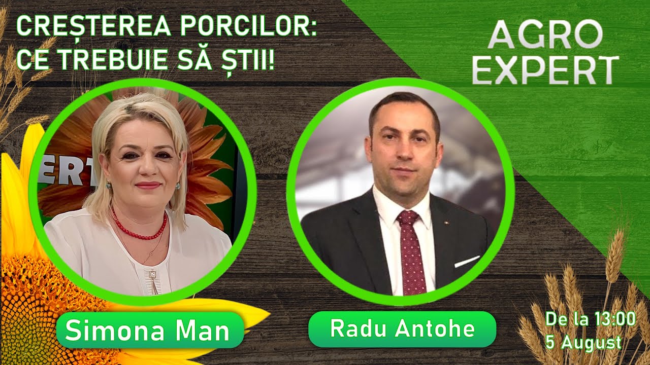 CREȘTEREA PORCILOR: CE TREBUIE SĂ ȘTII!