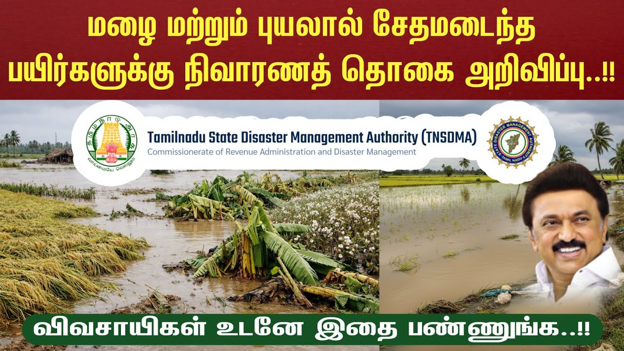 🔴🔴 Farmer Updates | மழை மற்றும் புயலால் சேதமடைந்த பயிர்களுக்கு நிவாரணத் தொகை அறிவிப்பு..!!