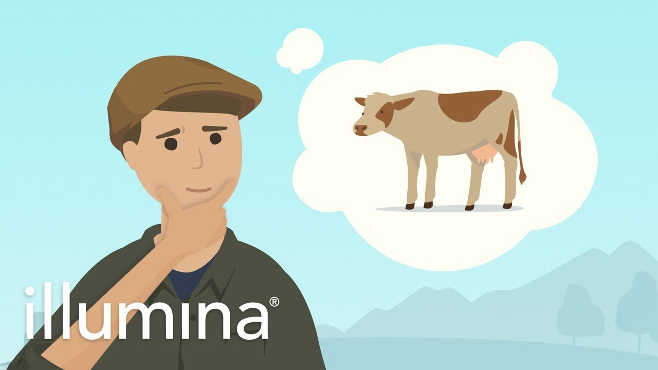 How Genotyping Can Improve Your Herd