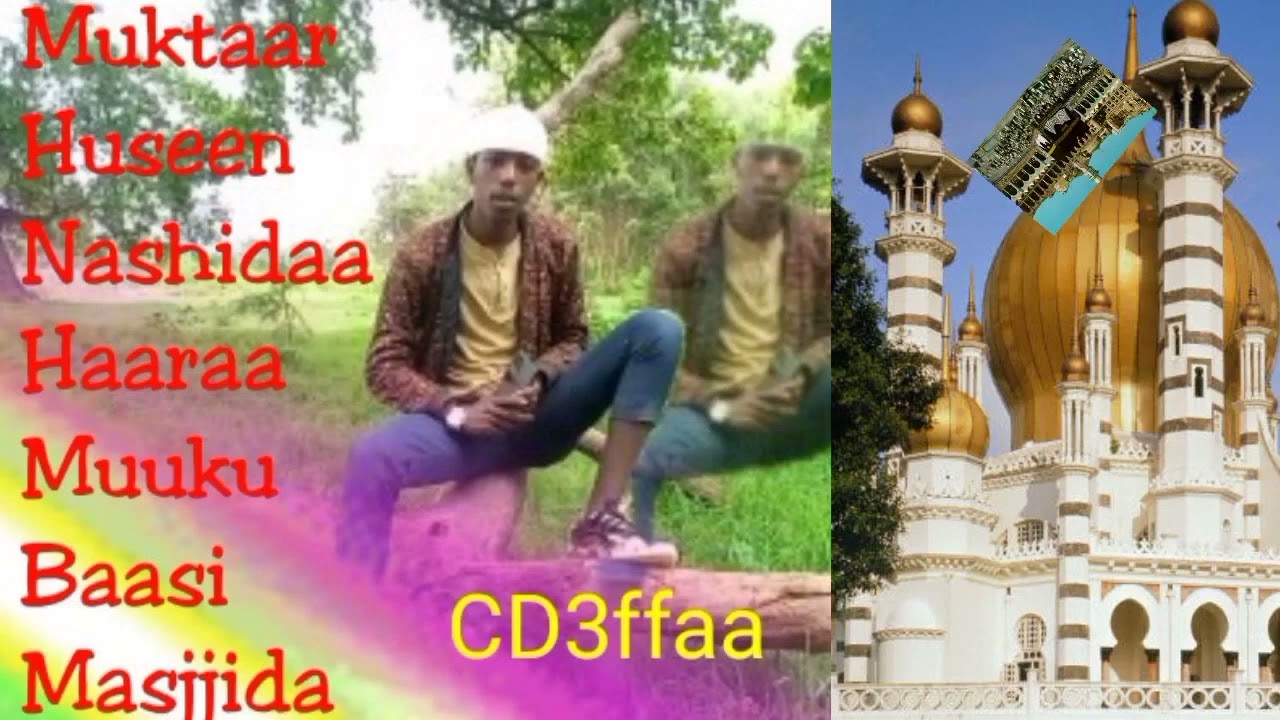 #nashidaa #oromo ##baalee #subscribe #etiopia #seenaa