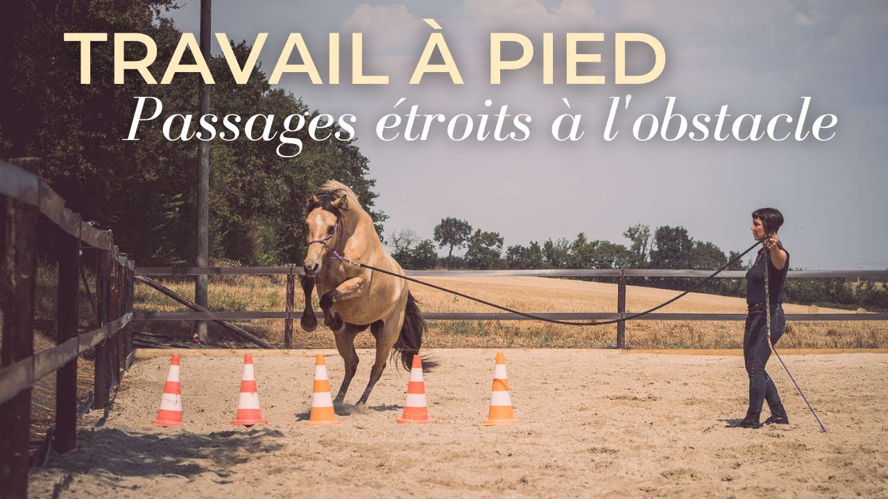 Travail à pied : passage d'obstacles variés