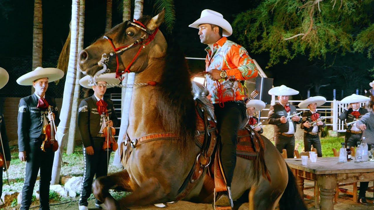 Banda La Maravillosa, Beto Pena, Banda Llano Grande- El Favorito & Arriba El Roble
