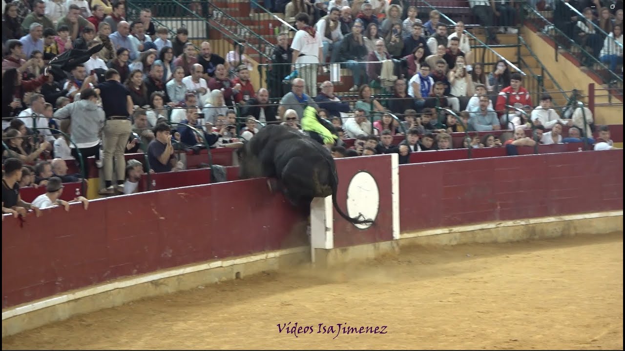 Especial Arriazu - Zaragoza - 12/10/2025 - N&ordm; 41/BOMBACHO - HD