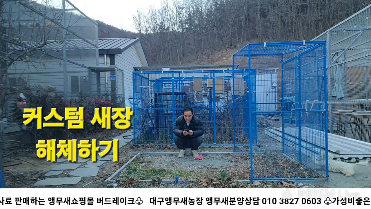 대구앵무새농장 [ Birdlake ] 앵무새 키우는 사람들의 이야기 20260217