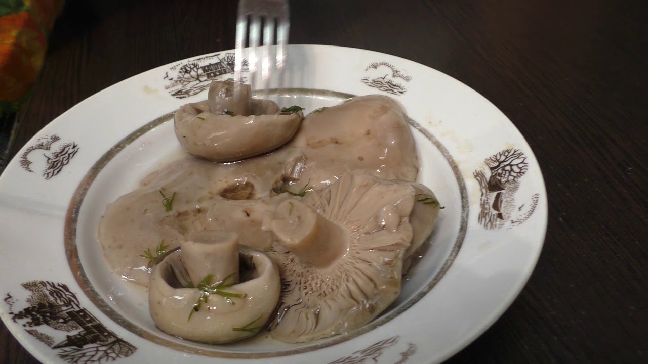 Очень вкусно! Отварные сыроежки.