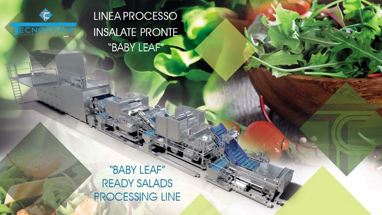 TECNOCEAM BABY LEAF READY SALADS PROCESSING LINE