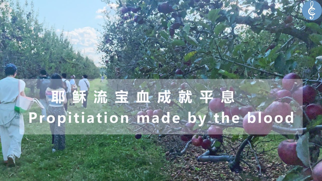 补充本856 耶稣流宝血成就平息 E1131Propitiation made by the blood