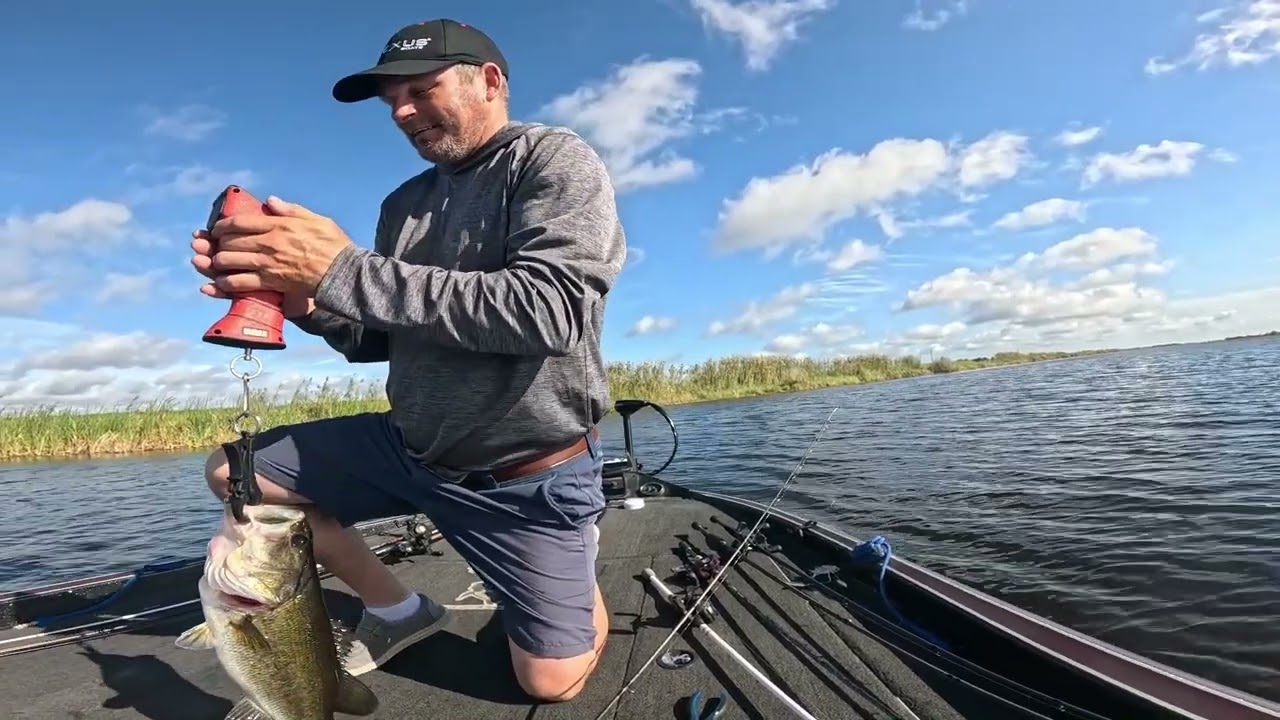 19 Dec 25 Stick Marsh 1