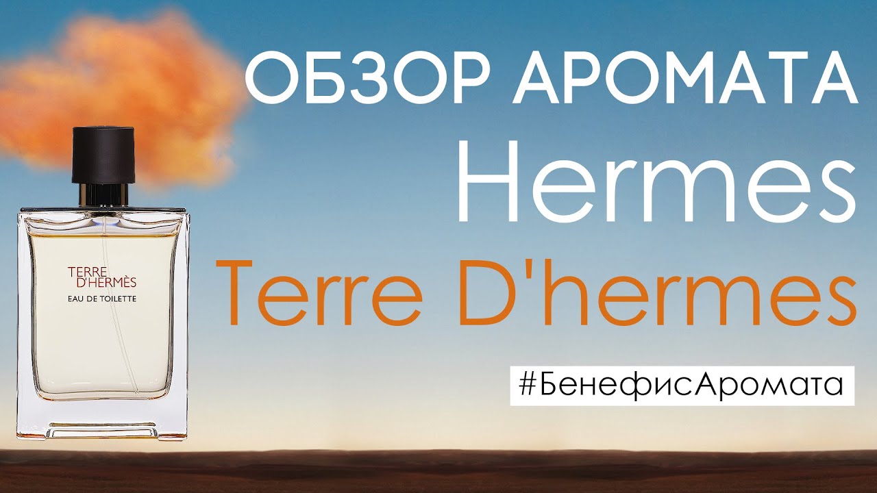 Обзор и отзывы о Hermes Terre D'hermes от Духи.рф | Бенефис аромата