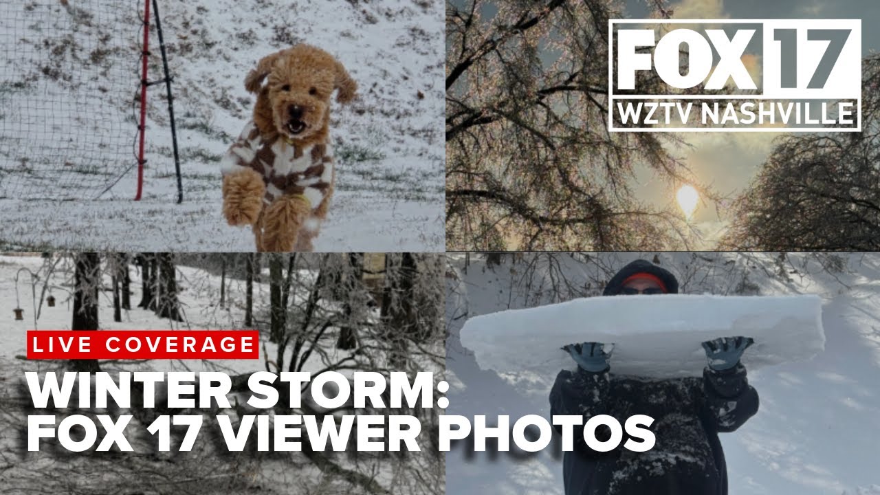 Storm damage, beautiful ice across Middle Tennessee: FOX 17 News Viewer Photos