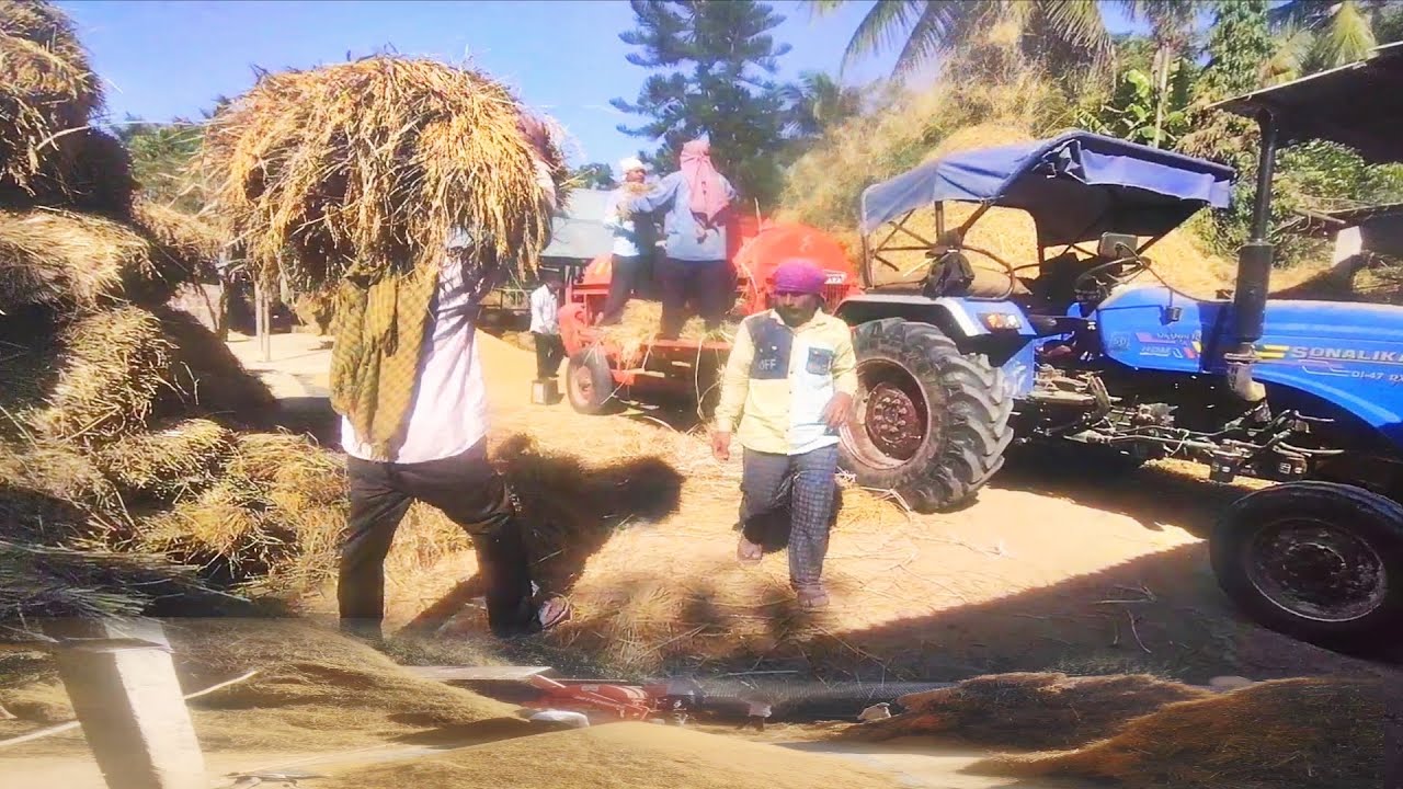 Harnam Paddy Thresher || Full Review || Farming Equipment || Rice machine work || #harnam #sonalika 
