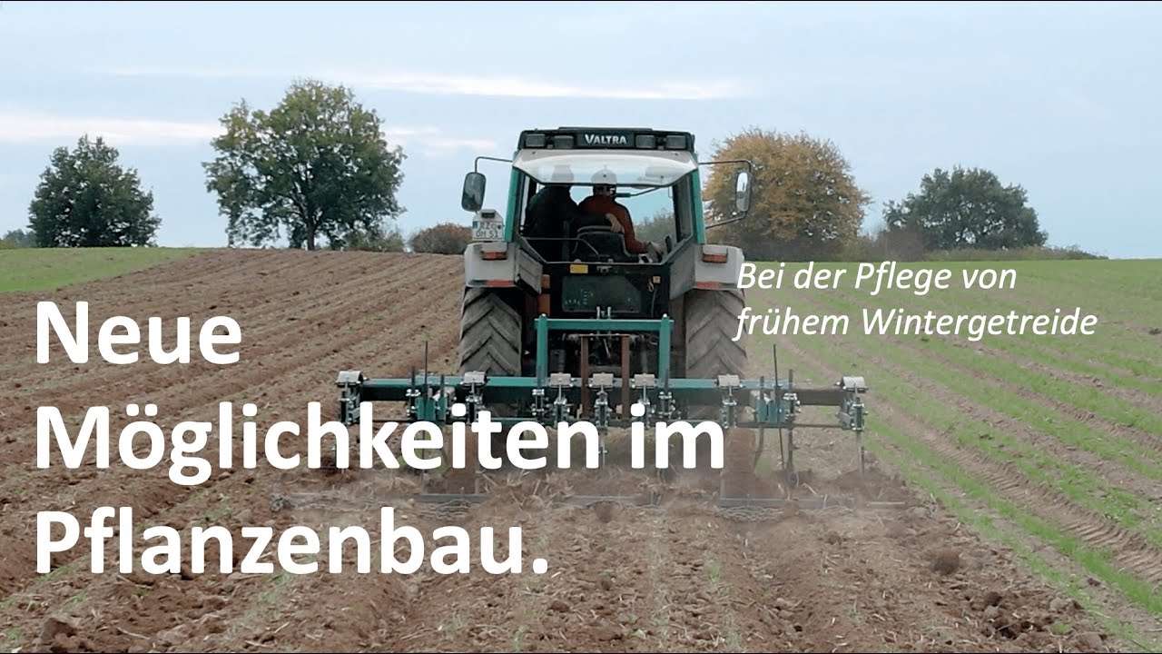 Neue Möglichkeiten im Pflanzenbau durch die gezielte Pflege von Reihenkulturen mit Turiel Dammkultur