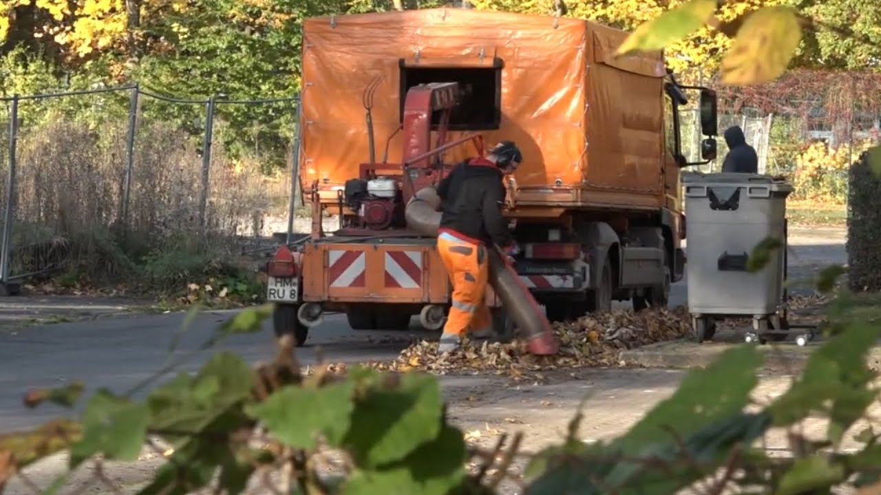 Mit Laubbläsern gegen die Herbstblätter?