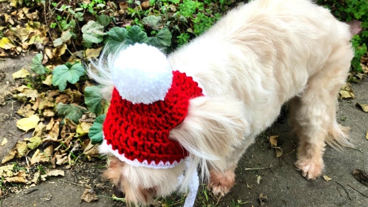 Dog and Cat Santa Crochet Beanie